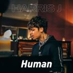 album image Human Human - Single
