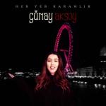 album image Her Yer Karanlık (Ferhat İlter Remix) Her Yer Karanlık - Single