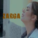 album image Zarga Zarga - Single