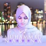 album image Muhammad Nabina Muhammad Nabina - Single