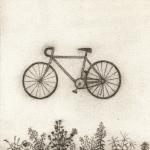 album image Bicycle Bicycle - Single