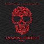 album image Walking Alone (Radio Edit) Amazone Project, Vol. 3 (DJ Mix)