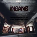 album image Black Gryph0n & Baasik - INSANE (Russian cover)/(кавер на русском)