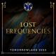 Lost Frequencies & Calum Scott - Where Are You Now (Amice rmx)