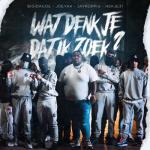 album image Wat Denk Je Dat Ik Zoek Wat Denk Je Dat Ik Zoek - Single (feat. JayKoppig & Hekje31) - Single
