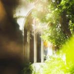 album image Faded (Slow&Bass_rmx)