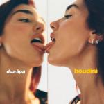 album image Houdini (Intro Clean) Houdini - Single