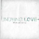 album image God of the Impossible Undying Love