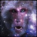 album image We Are Villains (feat. Andy Wood) Monkey Prison