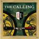 The Calling - Anything