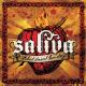 Saliva - Never Gonna Change (Album Version)
