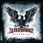 album image Come To Life Blackbird