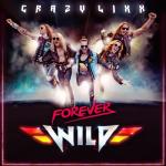 album image 11. LOVE DON'T LIVE HERE ANYMORE (Acoustic Version) Forever Wild
