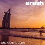 album image One Night in Dubai One Night in Dubai (feat. Helena) - Single