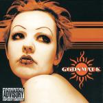 album image Voodoo (Album Version) Godsmack