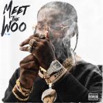 album image Christopher Walking Meet the Woo 2