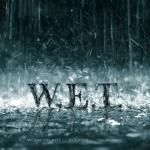 album image One Love W.E.T.