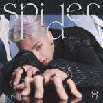 album image Spider Spider - Single