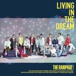 album image LIVING IN THE DREAM LIVING IN THE DREAM