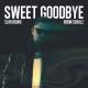 Robin Schulz - Sweet Goodbye (SLVR Extended Remix)