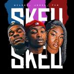 album image Skeu Skeu (PUNCHY EDIT) (2023) SKEU SKEU (feat. wilsko & 7ia) - Single