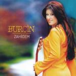 album image Dut ağacı Zahidem