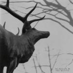 album image A Desolation Song The Mantle