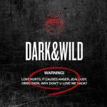album image Danger DARK&WILD