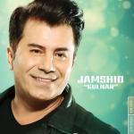 album image Gulnar Gulnar - Single