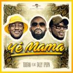 album image Ye Mama Ye Mama (feat. Fally Ipupa) - Single