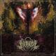 Divinitist - Imitator Ov Deities In False Genesis