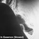 KA$TRO - In Essence (Slowed)