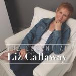 album image Вальс из м/ф The Essential Liz Callaway