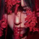 album image Stranger STRANGER - Single
