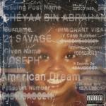 album image redrum american dream