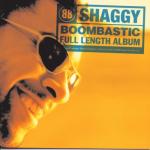 album image Bombastic (remix) Boombastic