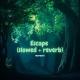 tw1ndead - Escape - wapoixy (tiktok remix)