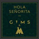 album image Hola Senorita speed up(STK rework)