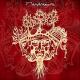 Mandragora - Gitara
