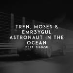 poster astronaut in the ocean Astronaut in the Ocean