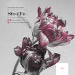 album image Breathe Breathe
