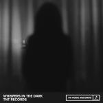 album image Whispers In The Dark (D MixX Remix) 2024 Acid Shot
