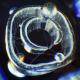 En:vy, Molecular - Black Opal