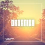 album image Dance Of Disco (Jackin House Mix) Classic Nu Disco