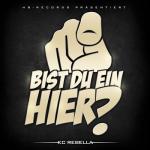 album image Day Z Bist du ein hier? (Deluxe edition)