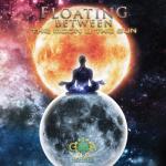 album image Ramayana (Original Mix) Floating Between The Moon & The Sun