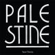 Yann Tiersen - Palestine (Remix By the Third Eye Foundation)