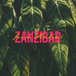album image Waves of Taghazout 3D Audio Waves and Birds