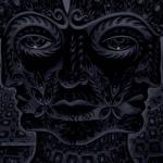 album image Vicarious