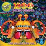 album image Rock Into The Future (Original Mix) Raja Ram's Anthology